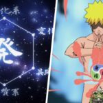 Dari Alkimia Hingga Nen: Mengupas Tuntas 10 Sistem Kekuatan Anime Paling Unik